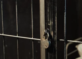 Sejm uchwalił nowelizację ws. zasad wykonywania kar więzienia