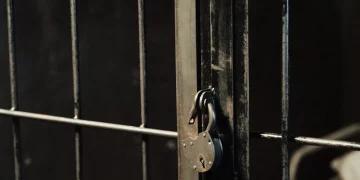 Sejm uchwalił nowelizację ws. zasad wykonywania kar więzienia