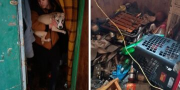 Uratowano kolejne zwierzęta