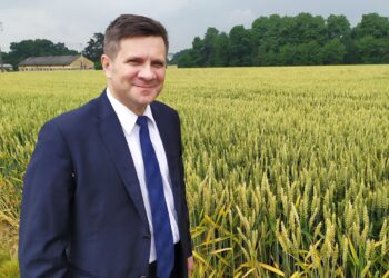 Jacek Włosowicz poza klubem PiS. W tle nie tylko spór o kierunek partii, ale i polityczne przygotowania do kolejnych wyborów